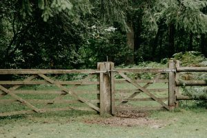 Green landscape with grass and trees. Old brown fence with a gate depicting a property line. 