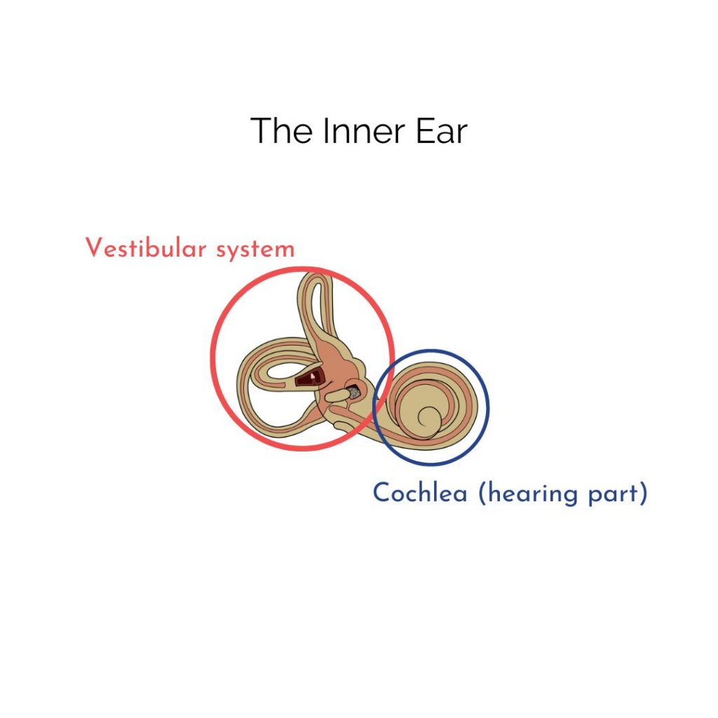 Audiology tests for vestibular disorders